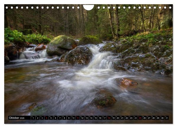 Produktbild: Zauberhafter Harz (Wandkalender 2026 DIN A4 quer), CALVENDO Monatskalender