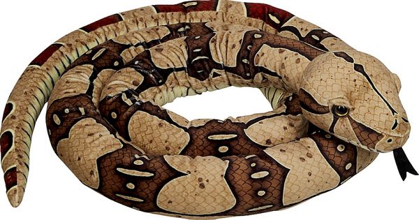 Produktbild: Boa constrictor / Nature Zoom