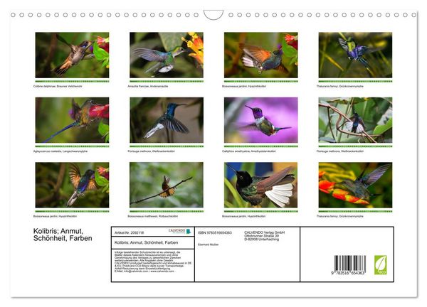 Produktbild: Kolibris; Anmut, Sch&ouml;nheit, Farben (Wandkalender 2026 DIN A3 quer), CALVENDO Monatskalender