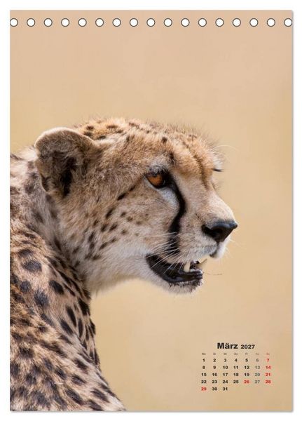 Produktbild: Emotionale Momente: Raubkatzen - die schnellen J&auml;ger. (Tischkalender 2027 DIN A5 hoch), CALVENDO Monatskalender