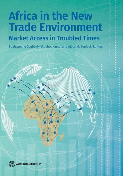 Produktbild: Africa in the New Trade Environment
