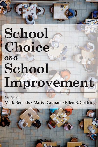 Produktbild: School Choice and School Improvement