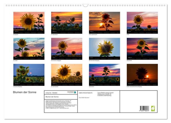 Produktbild: Blumen der Sonne (Wandkalender 2026 DIN A2 quer), CALVENDO Monatskalender