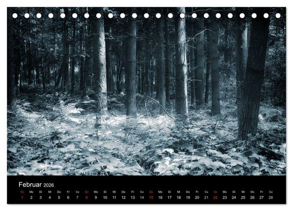 Produktbild: Mystische W&auml;lder (Tischkalender 2026 DIN A5 quer), CALVENDO Monatskalender