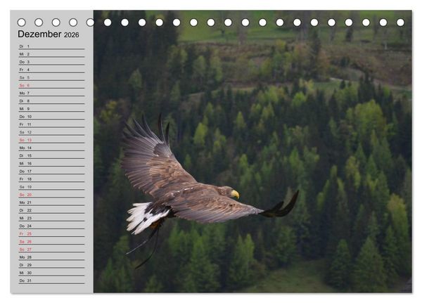 Produktbild: Adler und Greife. K&ouml;nige des Himmels (Tischkalender 2026 DIN A5 quer), CALVENDO Monatskalender