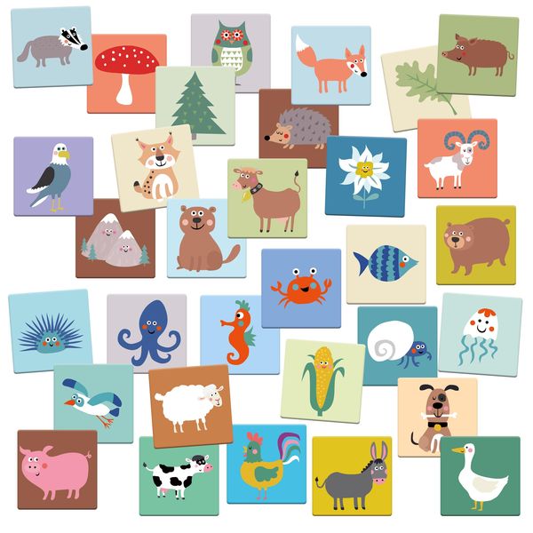 Produktbild: Mein buntes Maxi-Memo-Set