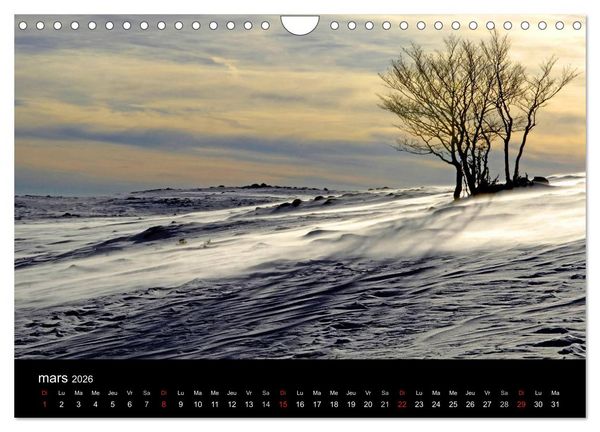 Produktbild: AUBRAC (Calendrier mural 2026 DIN A4 vertical), CALVENDO calendrier mensuel