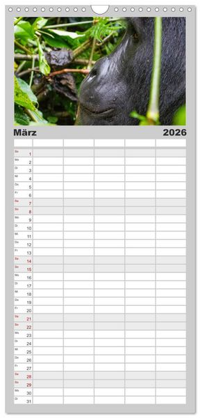 Produktbild: Familienplaner 2026 - Gorillas ohne Nebel mit 5 Spalten (Wandkalender, 21 x 45 cm) CALVENDO
