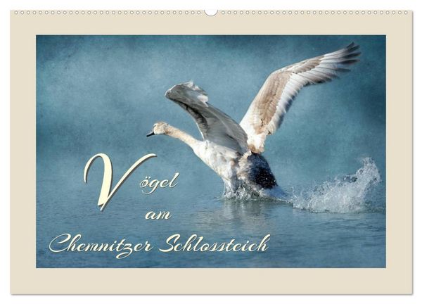 Produktbild: V&ouml;gel am Chemnitzer Schlossteich (Wandkalender 2026 DIN A2 quer), CALVENDO Monatskalender