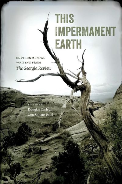 Produktbild: This Impermanent Earth