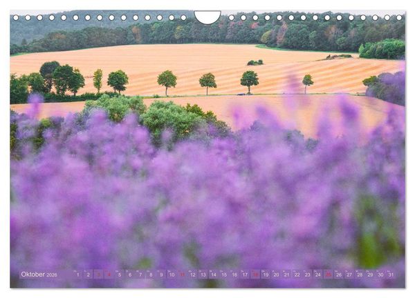 Produktbild: Natursch&ouml;nheiten - mit Bl&uuml;ten und Pflanzen durch das Jahr (Wandkalender 2026 DIN A4 quer), CALVENDO Monatskalender