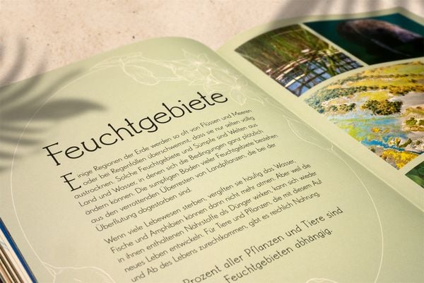 Produktbild: Wundervolle Welt. Wasser