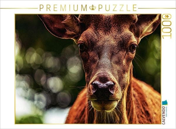 CALVENDO Puzzle Rothirschbulle im Ilsetal | 1000 Teile Lege-Größe 64x48cm Foto-Puzzle für glückliche Stunden