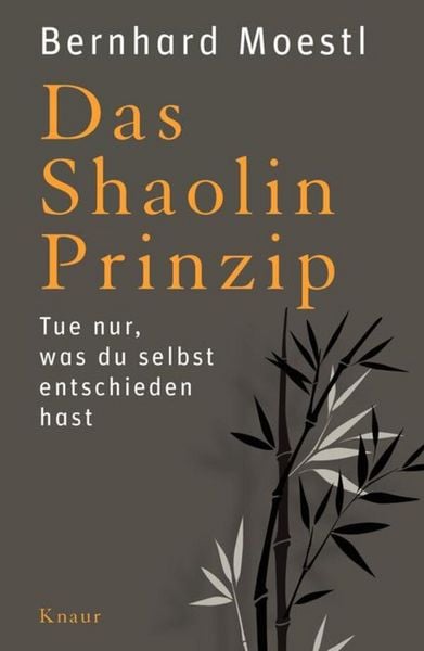 Produktbild: Das Shaolin-Prinzip