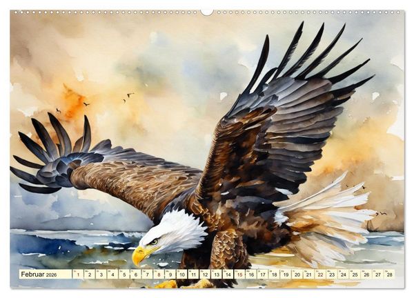 Produktbild: Wei&szlig;kopfseeadler - Majest&auml;tische V&ouml;gel (hochwertiger Premium Wandkalender 2026 DIN A2 quer), Kunstdruck in Hochglanz