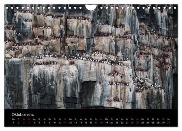 Produktbild: TRAUMZIEL ARKTIS, Impressionen vom Rand der Welt (Wandkalender 2026 DIN A4 quer), CALVENDO Monatskalender