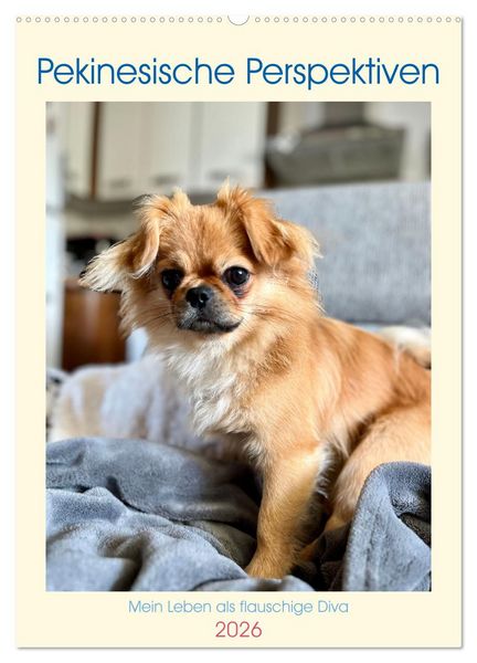 Pekinesische Perspektiven - Mein Leben als flauschige Diva (Wandkalender 2026 DIN A2 hoch), CALVENDO Monatskalender