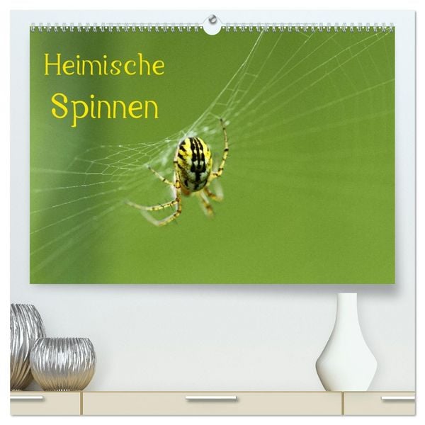 Heimische Spinnen (hochwertiger Premium Wandkalender 2026 DIN A2 quer), Kunstdruck in Hochglanz