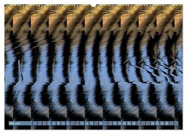 Produktbild: Magische Bilder - fantastische Stereogramme (hochwertiger Premium Wandkalender 2026 DIN A2 quer), Kunstdruck in Hochglanz