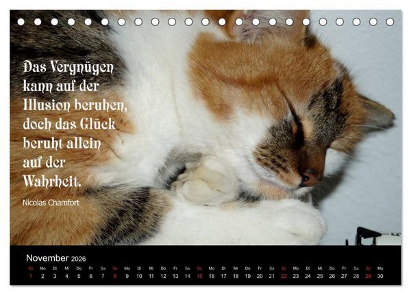 Produktbild: Gl&uuml;ckskatze - Mit Zitaten zum Thema Gl&uuml;ck (Tischkalender 2026 DIN A5 quer), CALVENDO Monatskalender