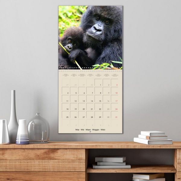 Produktbild: Gorillas &bull; The Gentle Giants (Wall Calendar 2026 12 &times; 12 Inch) CALVENDO 12 Month Wall Calendar