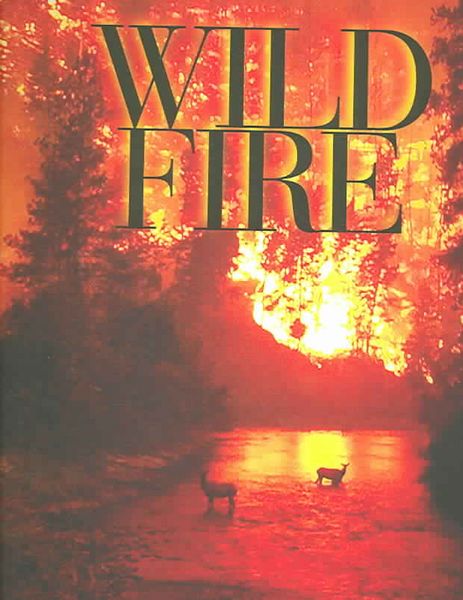 Produktbild: Wildfire