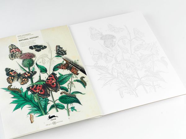 Produktbild: Natural History