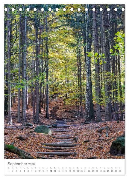 Produktbild: Wald - bezaubernde Landschaften (Tischkalender 2026 DIN A5 hoch), CALVENDO Monatskalender