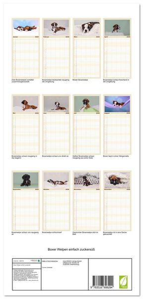 Produktbild: Familienplaner 2026 - Boxer Welpen einfach zuckers&uuml;&szlig; mit 5 Spalten (Wandkalender, 21 x 45 cm) CALVENDO