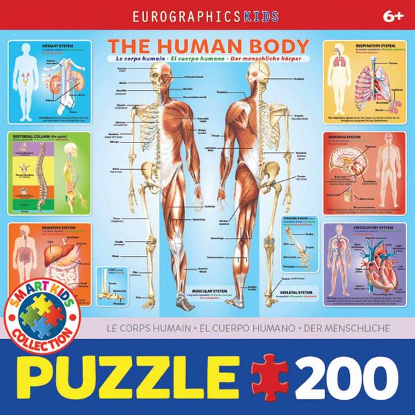 Produktbild: The Human Body 200-Piece Puzzle