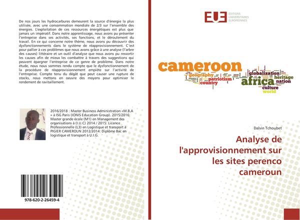 Produktbild: Analyse de l'approvisionnement sur les sites perenco cameroun