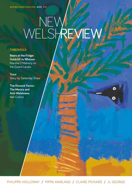 Produktbild: New Welsh Review 135 (summer 2024)