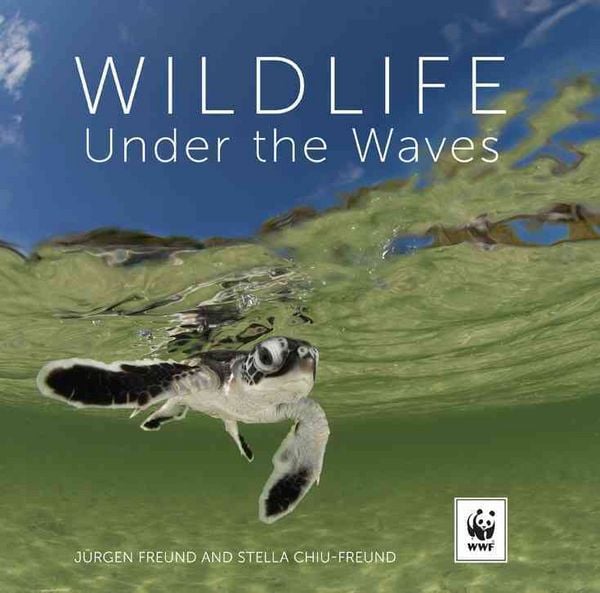 Produktbild: Wildlife Under The Waves