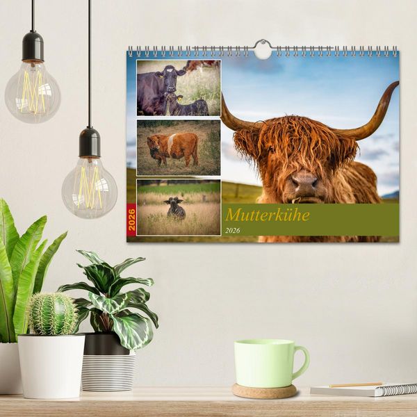 Produktbild: Mutterk&uuml;he (Wandkalender 2026 DIN A4 quer), CALVENDO Monatskalender