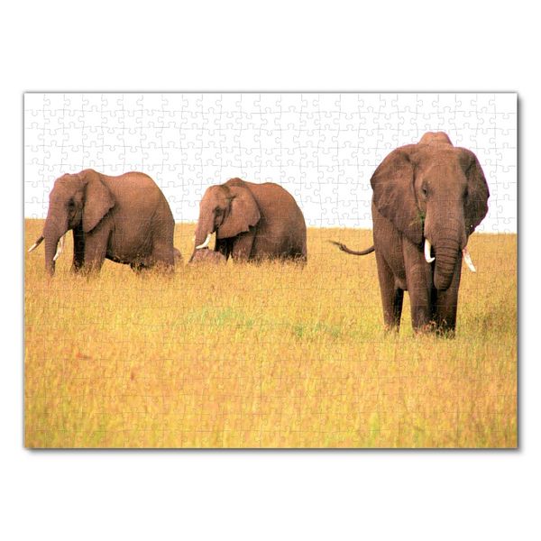 Produktbild: Lais Puzzle Elefanten 500 Teile