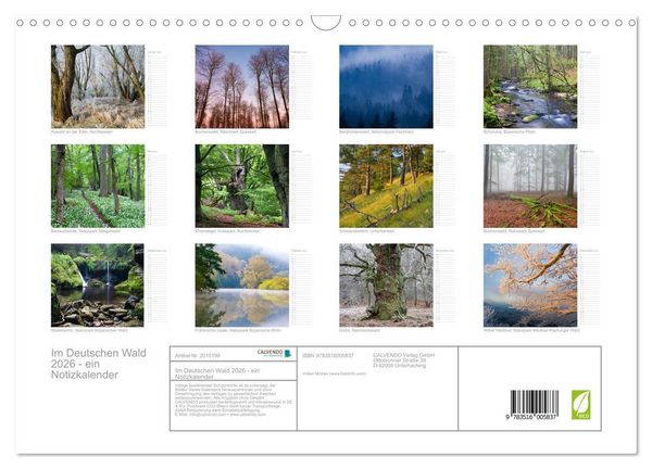 Produktbild: Im Deutschen Wald 2026 - ein Notizkalender (Wandkalender 2026 DIN A3 quer), CALVENDO Monatskalender