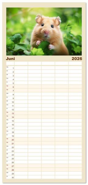 Produktbild: Familienplaner 2026 - Wild und flauschig - Hamster - Abenteuer in freier Natur mit 5 Spalten (Wandkalender, 21 x 45 cm) CALVENDO