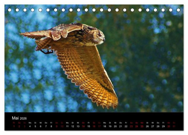 Produktbild: Der Waldspaziergang (Tischkalender 2026 DIN A5 quer), CALVENDO Monatskalender