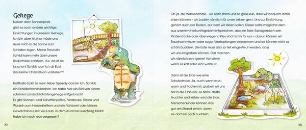 Produktbild: Griechische Landschildkr&ouml;ten