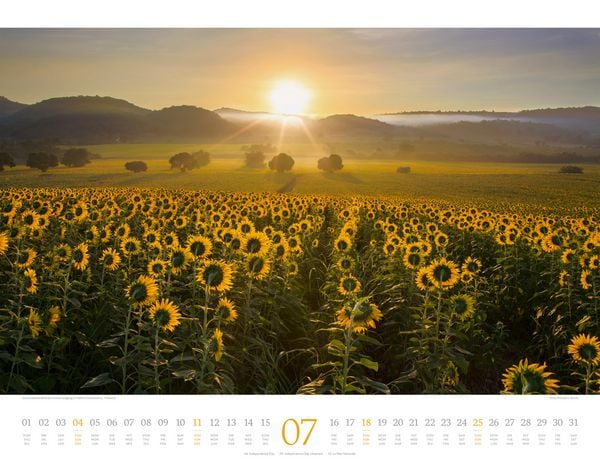 Produktbild: Morgenlicht Kalender 2027