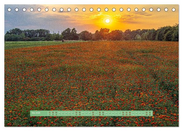 Produktbild: Wolfsburgs sch&ouml;nste Ecken (Tischkalender 2026 DIN A5 quer), CALVENDO Monatskalender