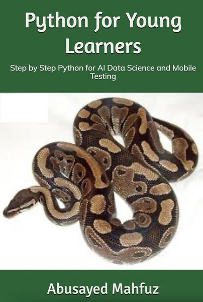 Produktbild: Python for Young Learner