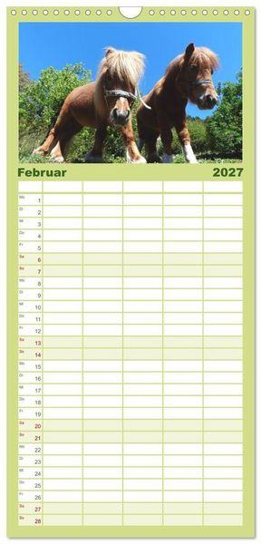 Produktbild: Familienplaner 2027 - Ponys. Herzensbrecher mit Grips mit 5 Spalten (Wandkalender, 21 x 45 cm) CALVENDO