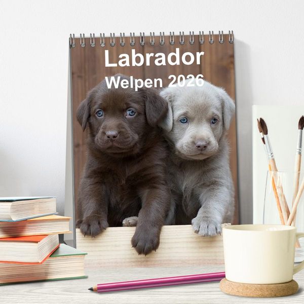 Produktbild: Labrador Welpen (Tischkalender 2026 DIN A5 hoch), CALVENDO Monatskalender