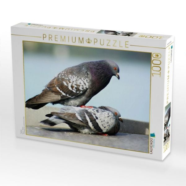 Produktbild: CALVENDO Puzzle Tauben | 1000 Teile Lege-Gr&ouml;&szlig;e 64x48cm Foto-Puzzle f&uuml;r gl&uuml;ckliche Stunden