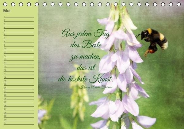 Produktbild: Spruchreifer Geburtstagskalender (Tischkalender immerw&auml;hrend DIN A5 quer)