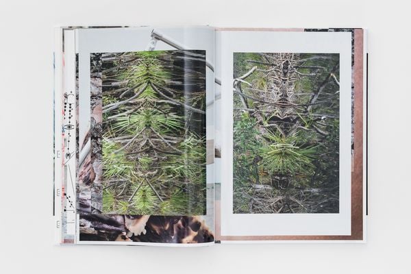 Produktbild: Sophie Hirsch