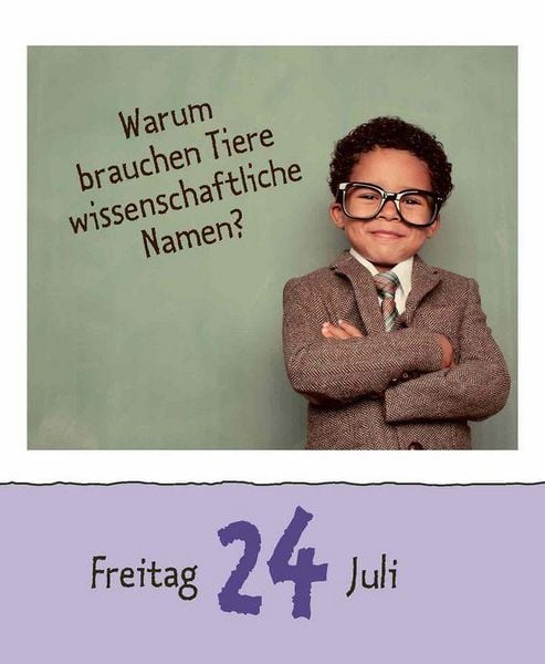 Produktbild: Wie faul ist das Faultier? 2026