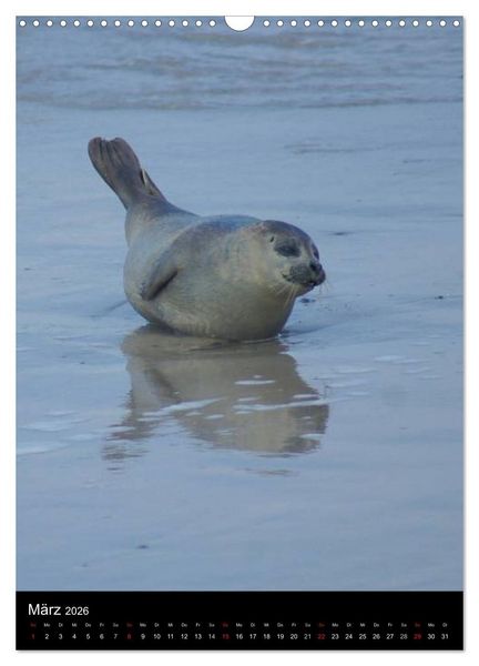Produktbild: Helgoland in der Nordsee (Wandkalender 2026 DIN A3 hoch), CALVENDO Monatskalender