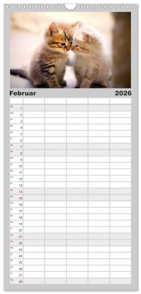 Produktbild: Familienplaner 2026 - Unzertennlich mit 5 Spalten (Wandkalender, 21 x 45 cm) CALVENDO
